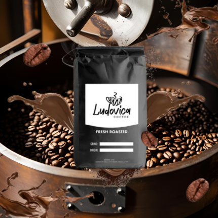 Single Origin - Ludovica 